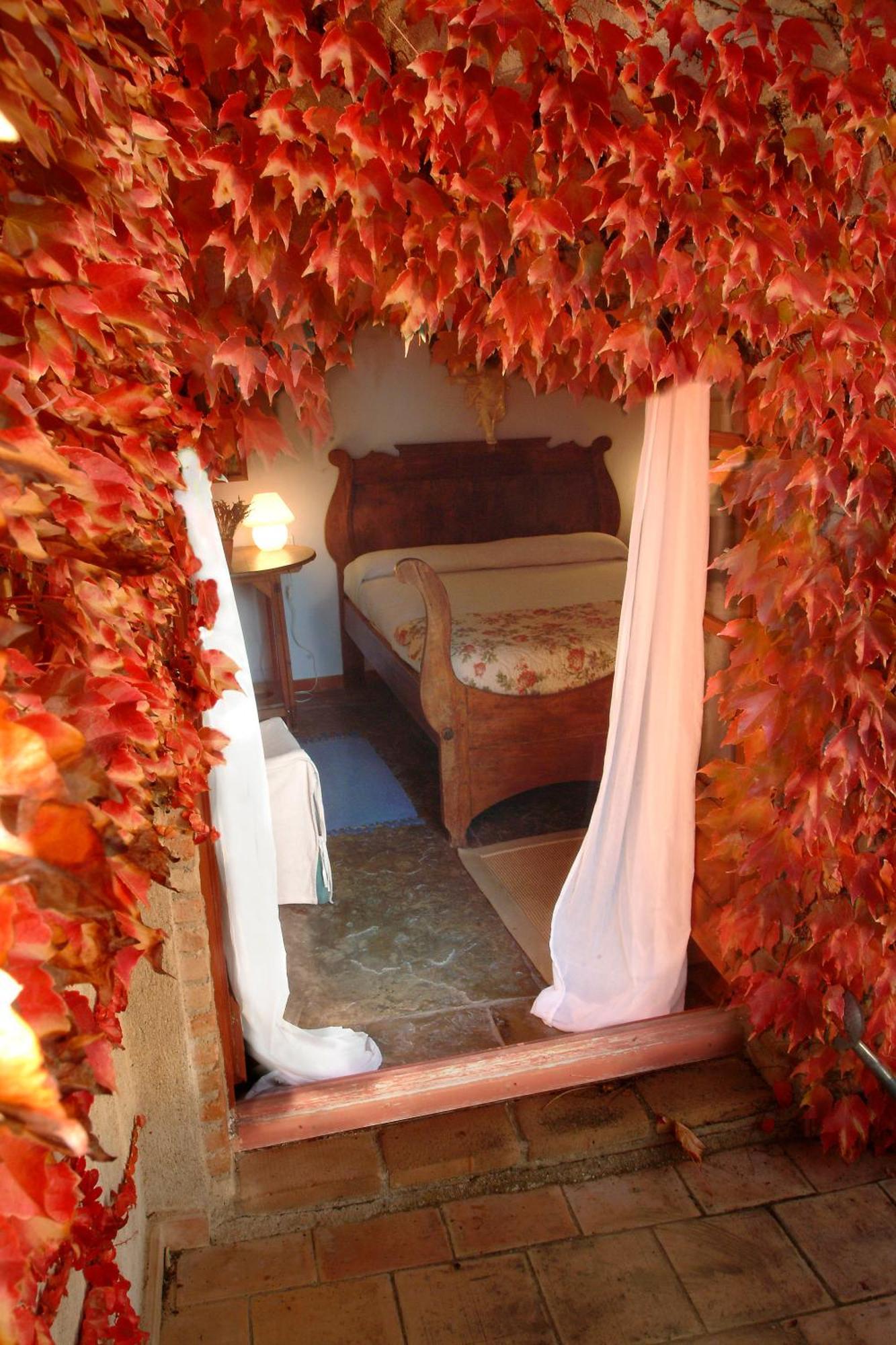 Hotel La Placa מאדרמאניה מראה חיצוני תמונה